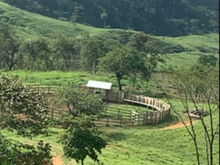 74 Manzanas en venta en Aldea El Mirador Gualan Zacapa - 5