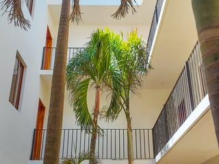 PROYECTO DE APARTAMENTOS FRANCISCANOS | MODELO MENCI | ALOTENANGO - 2