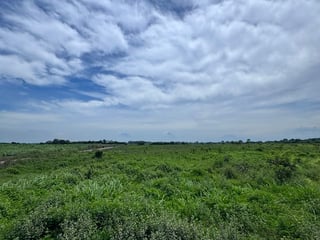 📍 TERRENOS INDUSTRIALES EN VENTA –16,762.82 | KM. 98 | PTO. SAN JOSE - 4
