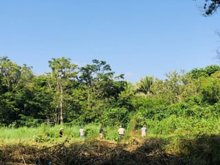 Terreno en Venta en Livingston Izabal - 2