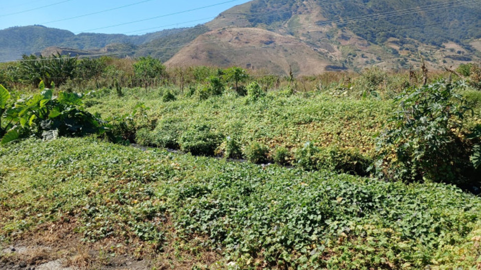 Terreno en Venta en Amatitlán - Miniatura 3
