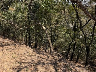 Terrenos en Venta - Mixco, Zona 1, Guatemala - ¡Oportunidad Única! - Image 4