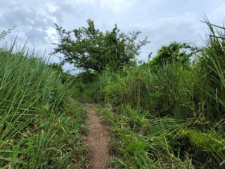 Terreno en Venta Quintas Malibú, Escuintla, Guatemala - 2