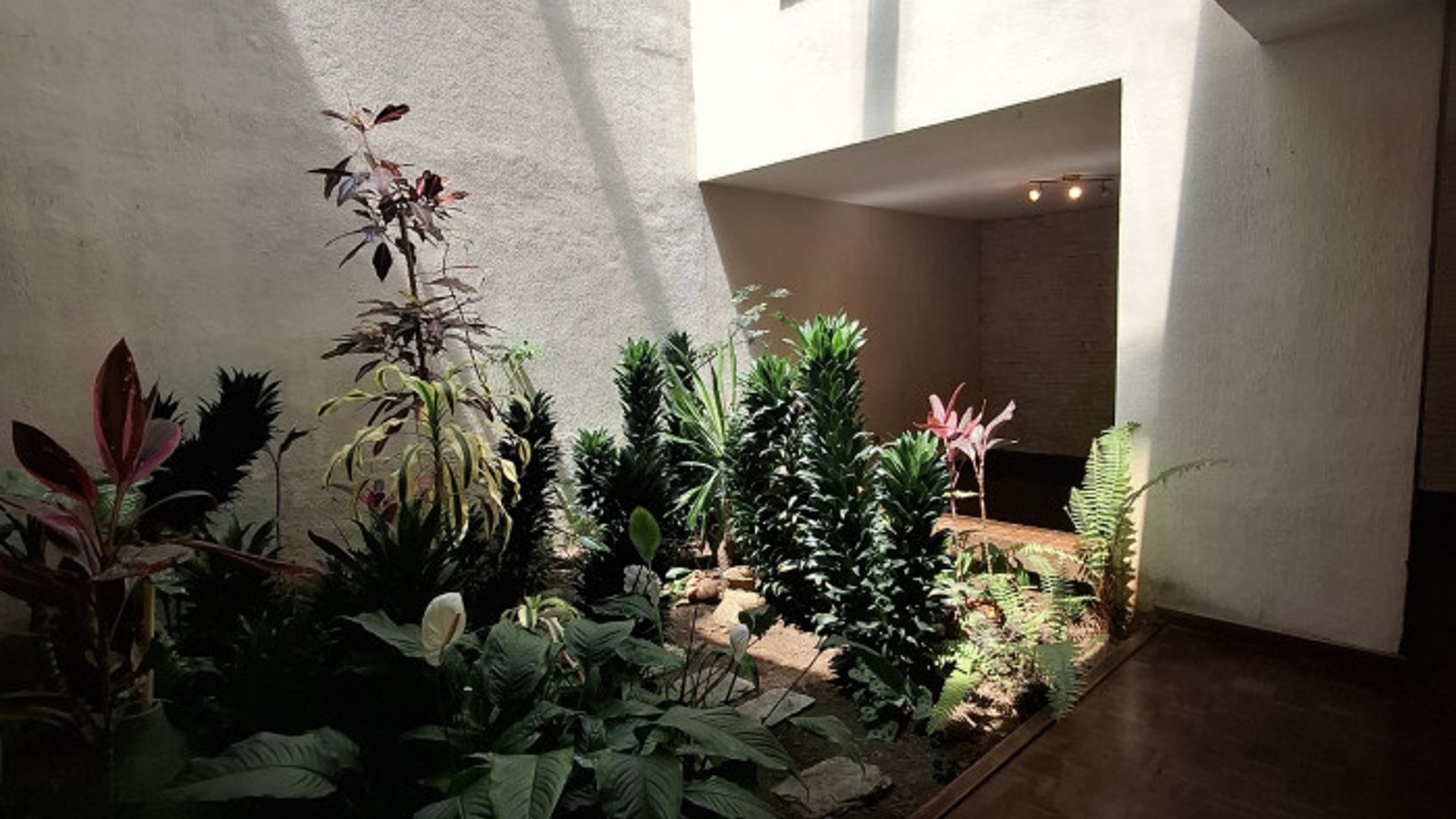 Casa en renta en zona 10 Bulevar Los Próceres - Miniatura 26