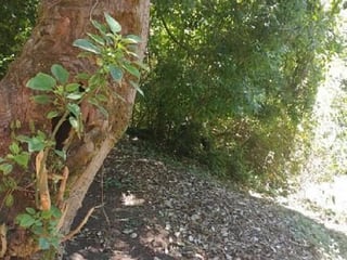 Terreno en Fraijanes KM 20.5 Carretera al Salvador - 2
