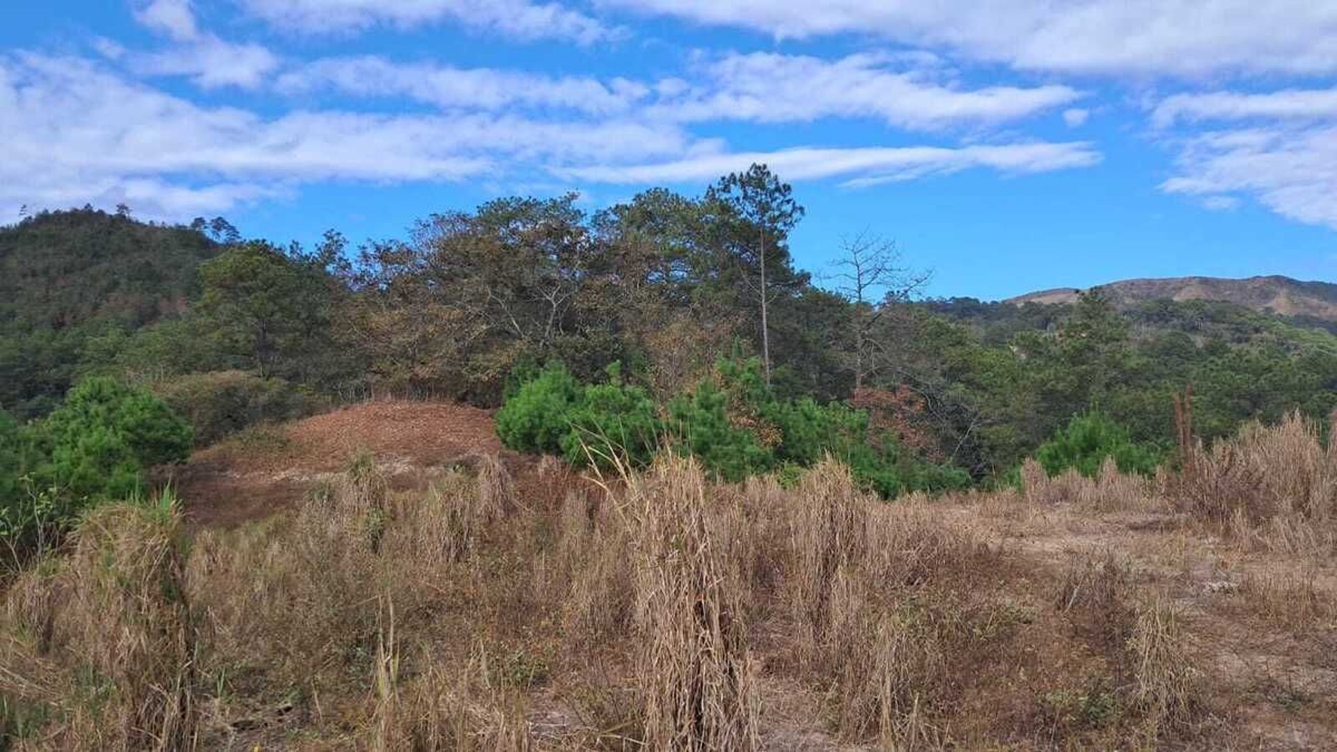Finca en VENTA en San Pedro Ayampuc - Miniatura 3