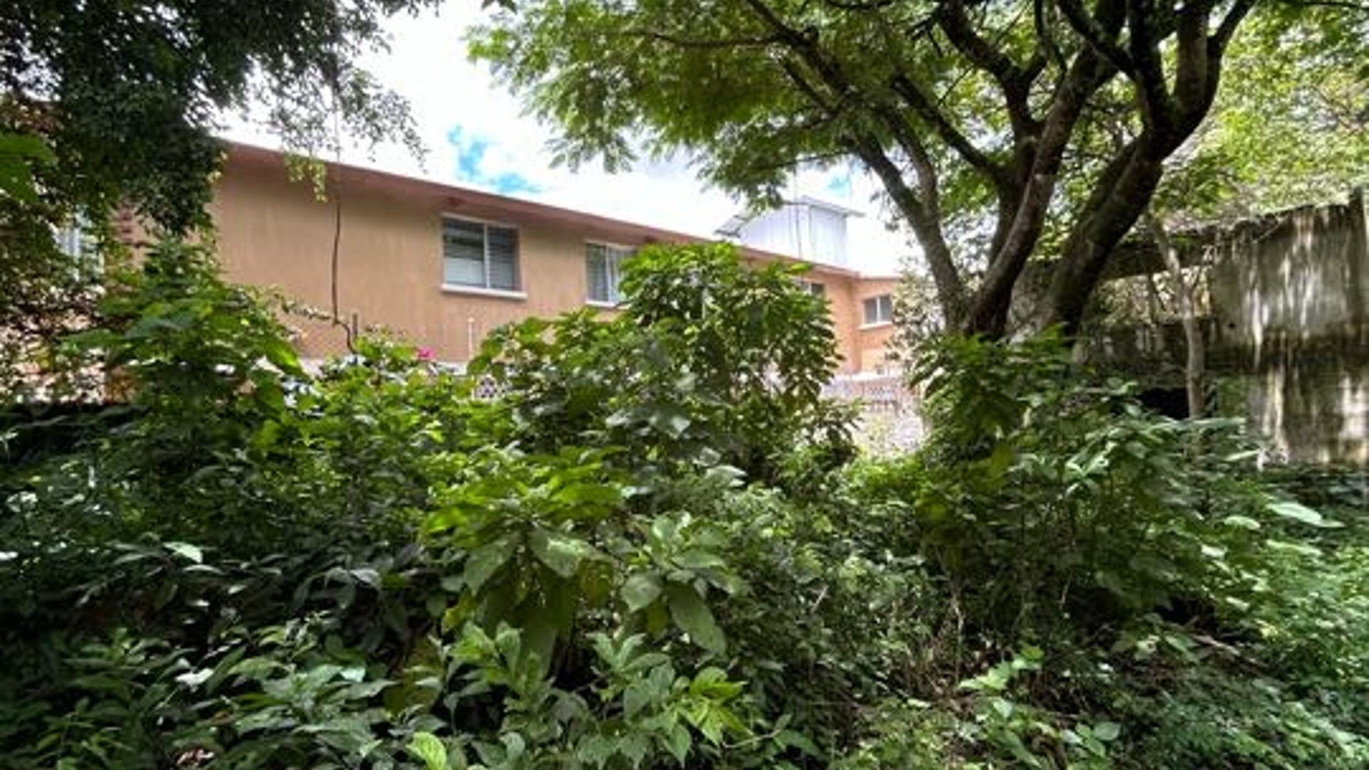 Vendo Terreno en zona 2 Ciudad Nueva - Miniatura 4