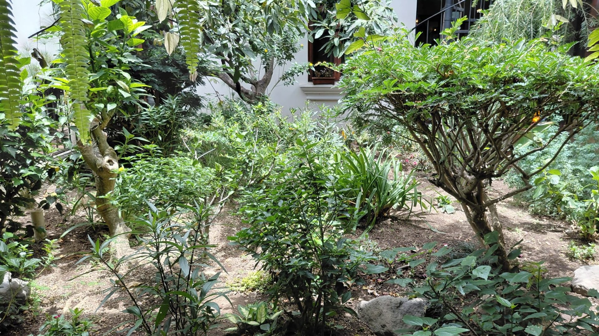 EXCLUSIVA RESIDENCIA A PASOS DE LA ERMITA DE SANTA LUCÍA - Miniatura 12