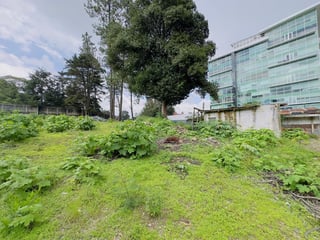 Terreno en ALQUILER en Carretera a El Salvador - Image 4