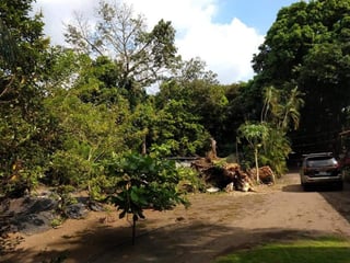 Terreno en Venta en Km 76.5 Antigua Carretera al Puerto - 3