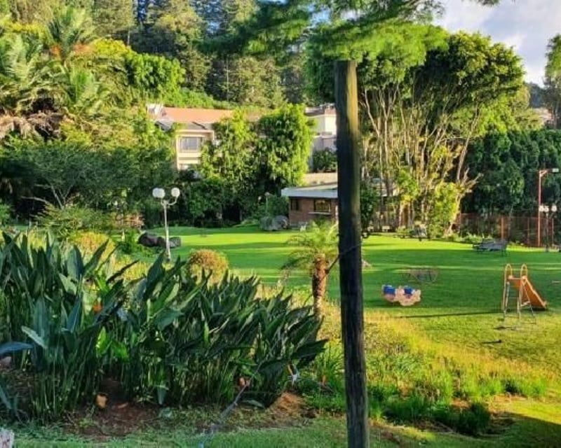 SANTA ROSALIA/ 2 Terrenos en venta casi planos, CES