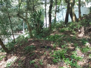 Terreno en Venta en Santa Lucia Milpas Altas - 2
