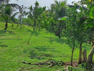 Beachfront House for Sale in Rio Dulce, Guatemala | 39 Manzanas, Pool, Dock - 4