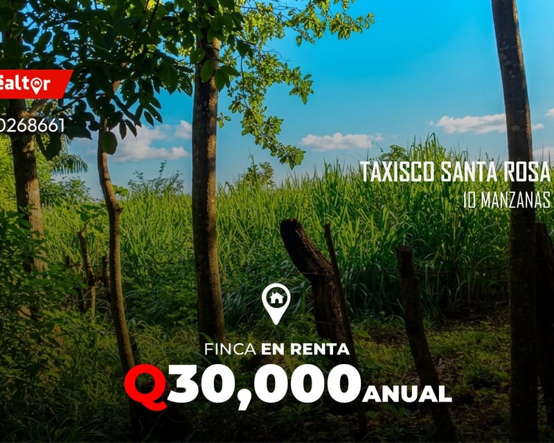 10 manzanas en renta en Taxisco Santa Rosa