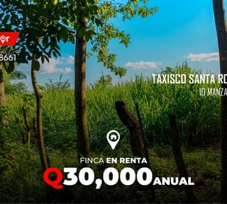10 manzanas en renta en Taxisco Santa Rosa