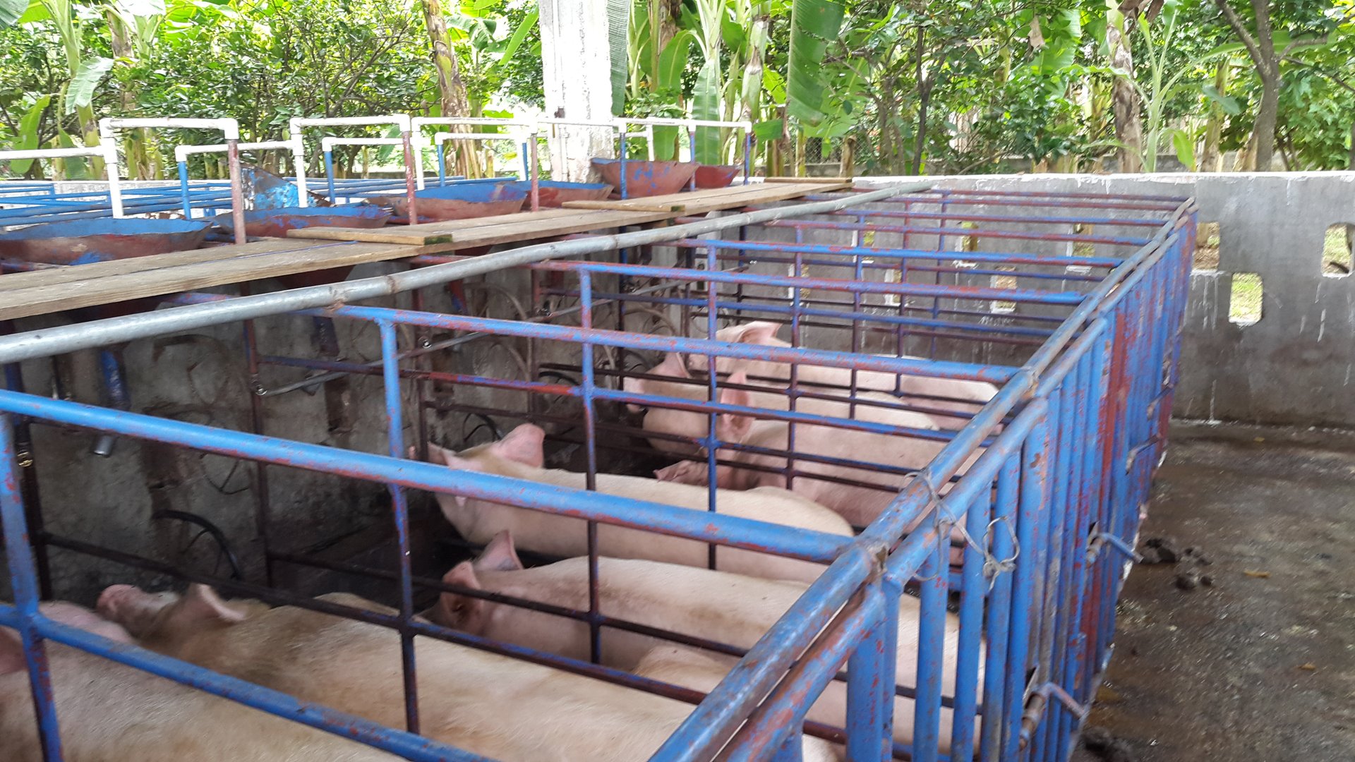 FINCA EN VENTA EN ALDEA EL SAUCE  - Miniatura 24