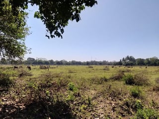 TERRENO EN VENTA ESCUINTLA MASAGUA - 5