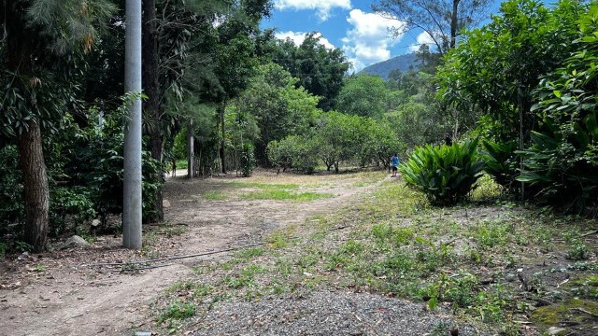 Finca en Venta, Acatempa, Jutiapa, Guatemala