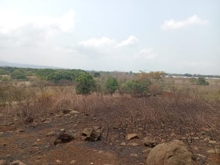 Terreno en Venta Chiquimulilla, Santa Rosa  - 2