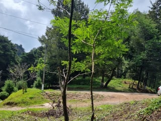 Terreno en Venta Granja Buenos Aires, Fraijanes - 3