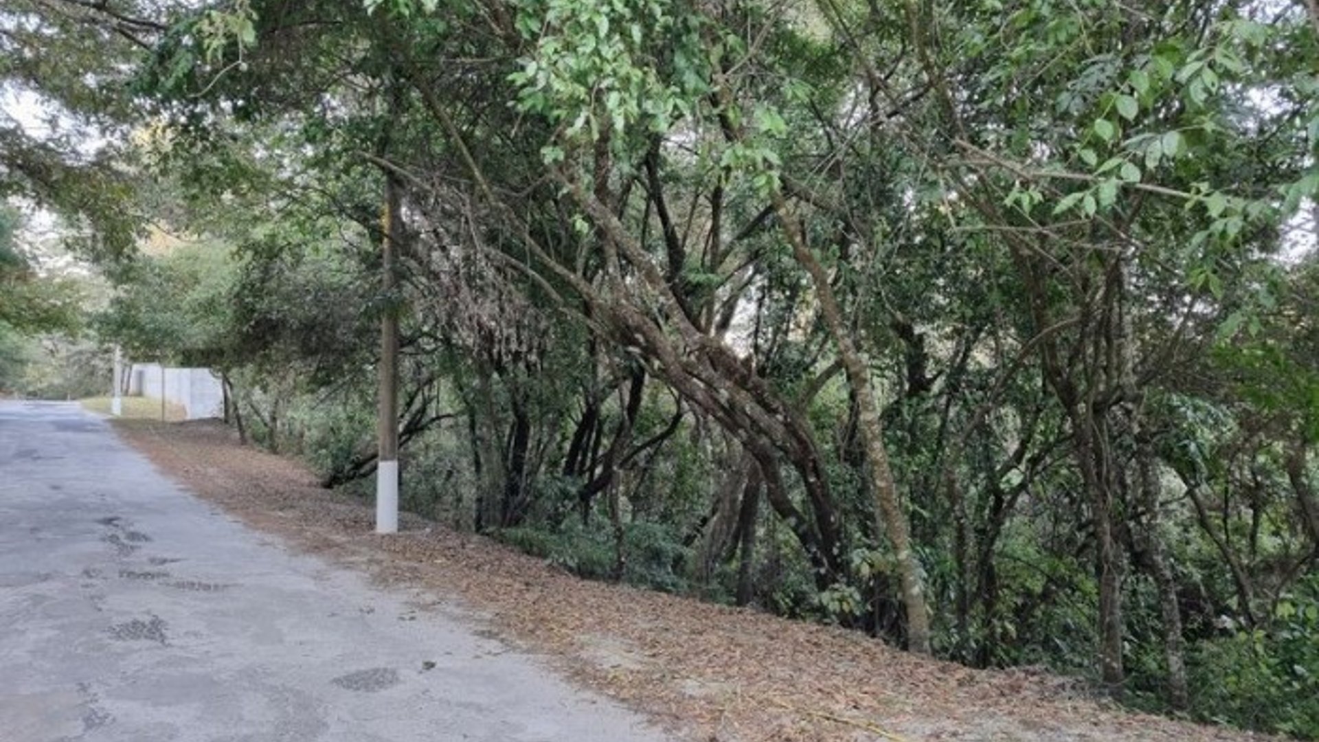 Terreno en Venta en El Encinal, Zona 7 de Mixco - Miniatura 14