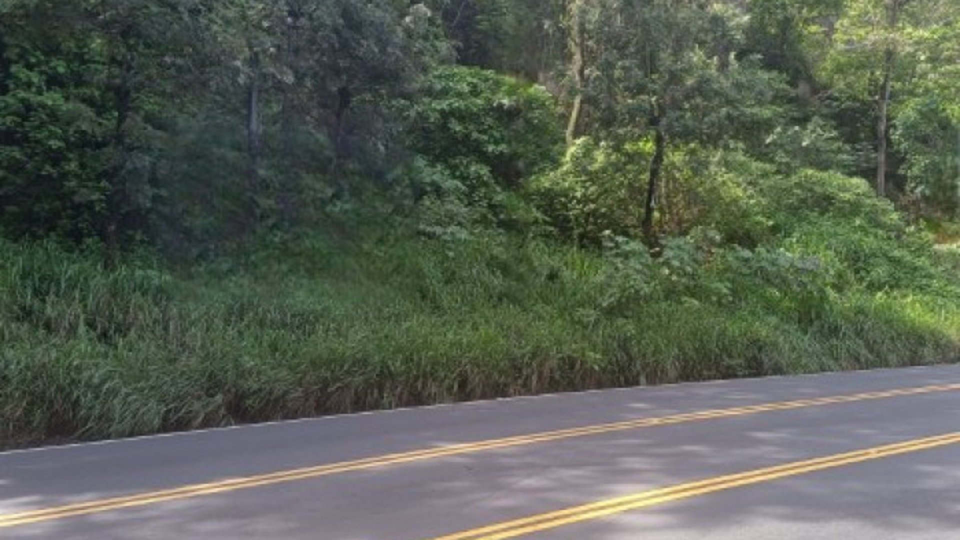 Terreno Comercial sobre Carretera Hacia Boca del Monte - Miniatura 2