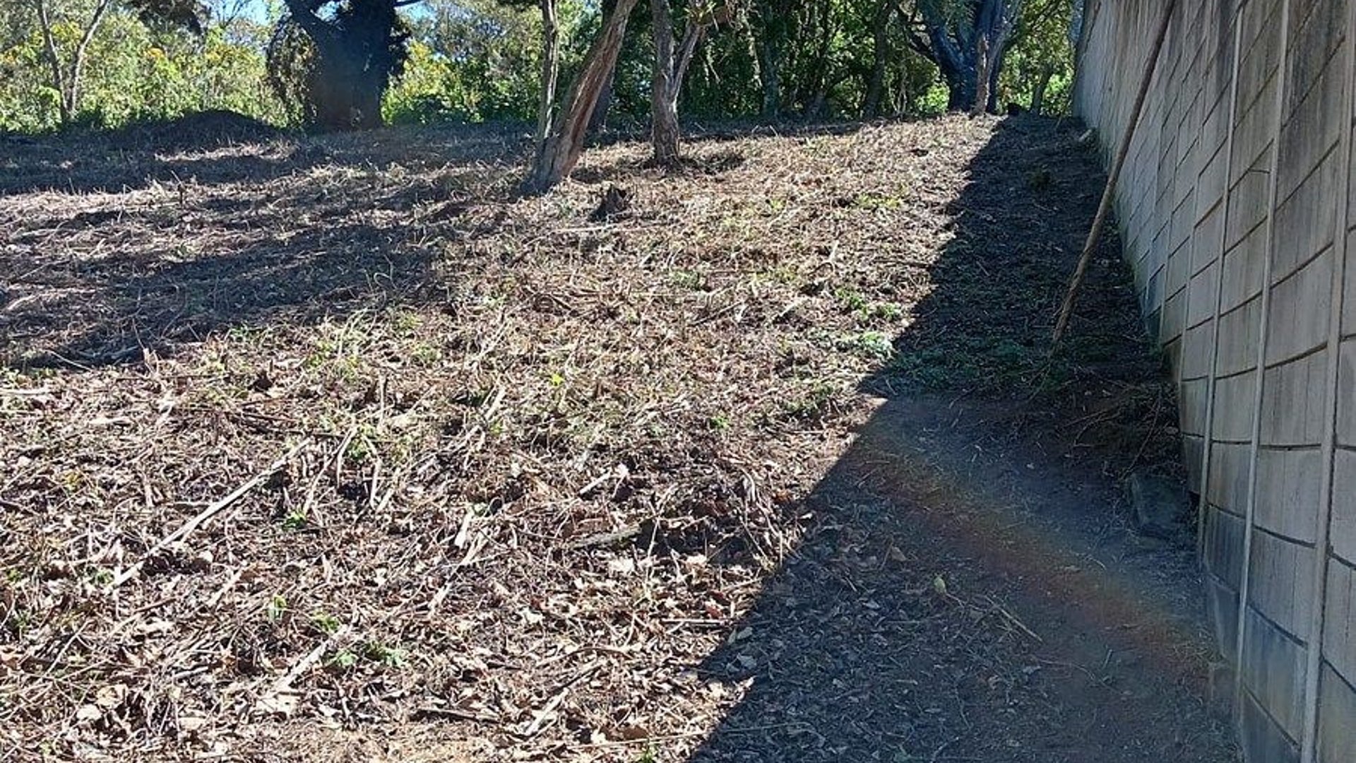 Terreno en VENTA en San Vicente - Image 1