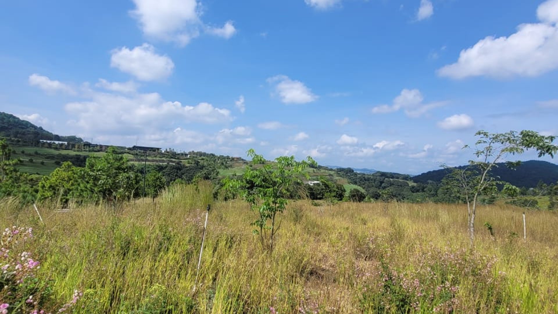 Se vende terreno en Exclusivo Club de zona 16 - Miniatura 12