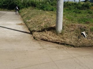 Beautiful land surrounded by nature and excellent climate. - Image 1