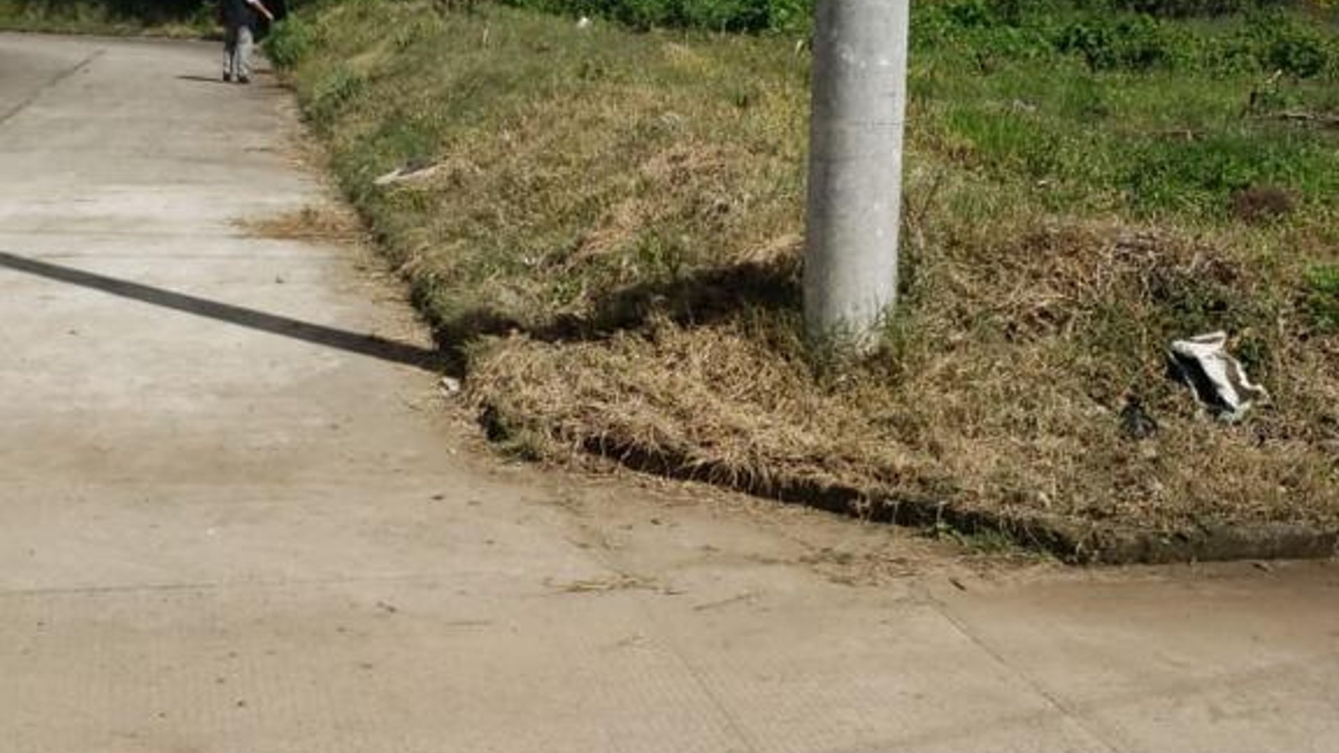 Beautiful land surrounded by nature and excellent climate.