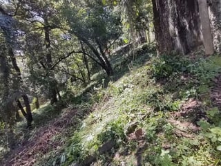 Terreno en Venta en Los Encinos1 km 26 carretera a San Lucas - 5