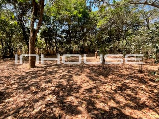 TERRENO EN VENTA EN SANTA ELENA BARILLAS - Image 8