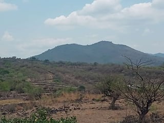 Terreno en Venta totalmente plano en El Progreso Jutiapa (Cantón Las Flores) - 5