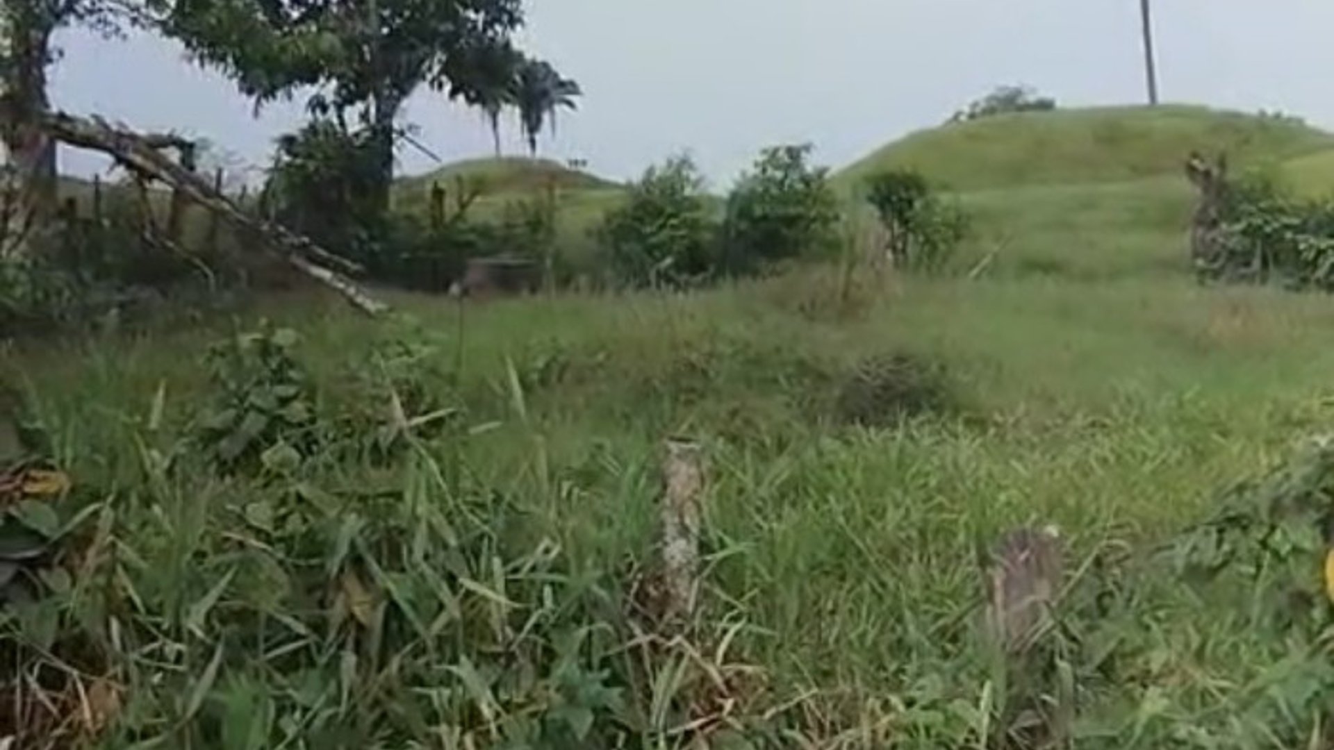 Finca en Puerto Barrios Izabal - Miniatura 5
