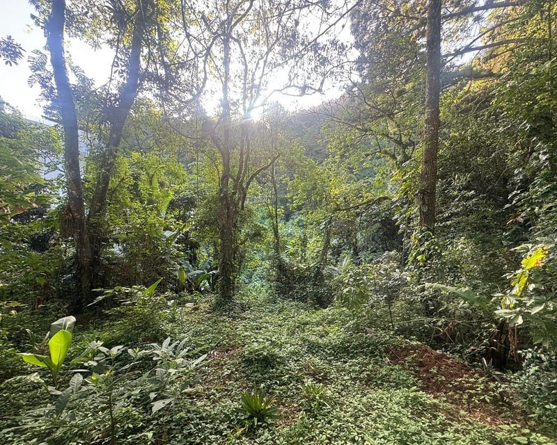 TERRENO EN VENTA EN SANTA ROSALIA