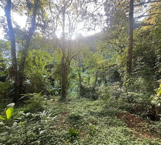 TERRENO EN VENTA EN SANTA ROSALIA