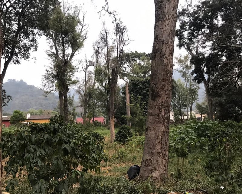 TERRENO A LA VENTA EN CASCO DE  ANTIGUA GUATEMALA.
