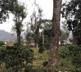 TERRENO A LA VENTA EN CASCO DE  ANTIGUA GUATEMALA.