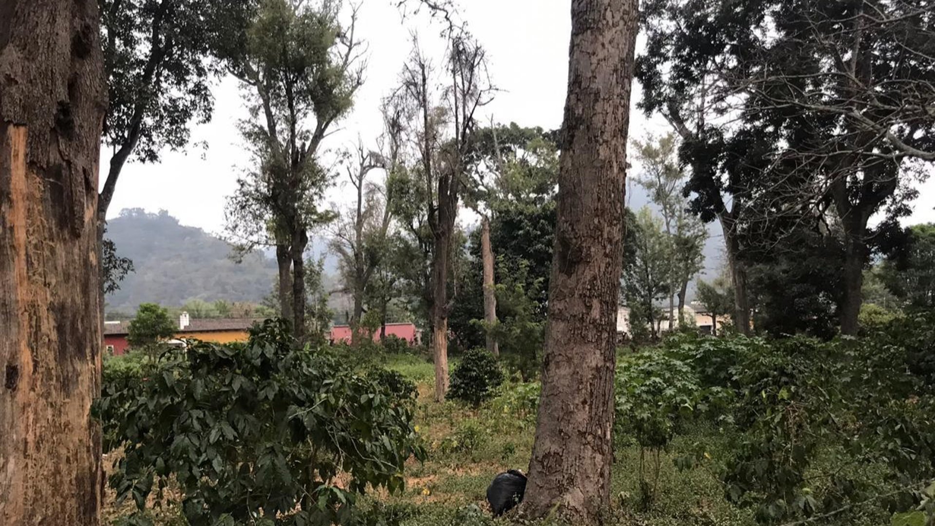 TERRENO A LA VENTA EN CASCO DE  ANTIGUA GUATEMALA.
