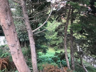 Terreno en Venta Bosques de las Luces Guatemala - 3