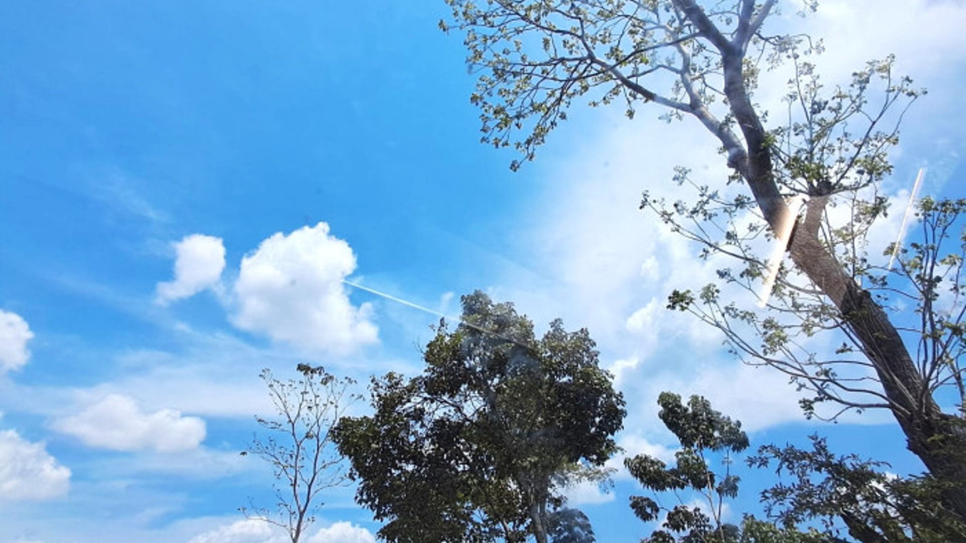 TERRENO RUSTICO EN ALQUILER EN MAZATENANGO