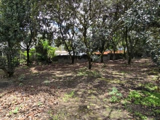 Terreno en Venta Hacienda Del Comendador, Sacatepéquez - 5