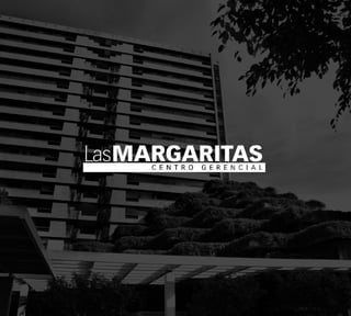 Ofiicna en renta, Centro Gerencial Las Margaritas 