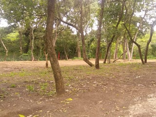 Terreno en Renta en Santa Catarina Pinula - 2