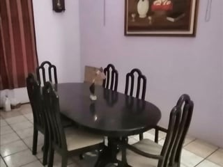 Chalet con amplio terreno en venta en Escuintla - Image 11