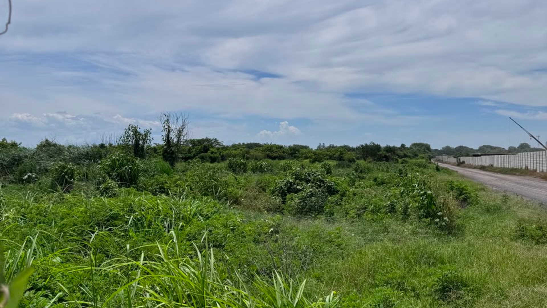 ???? TERRENOS INDUSTRIALES EN VENTA –16,762.82 | KM. 98 | PTO. SAN JOSE - Miniatura 11