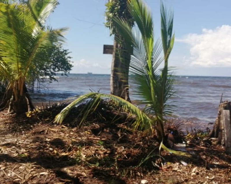 TERRENO EN VENTA EN IZABAL