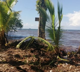TERRENO EN VENTA EN IZABAL
