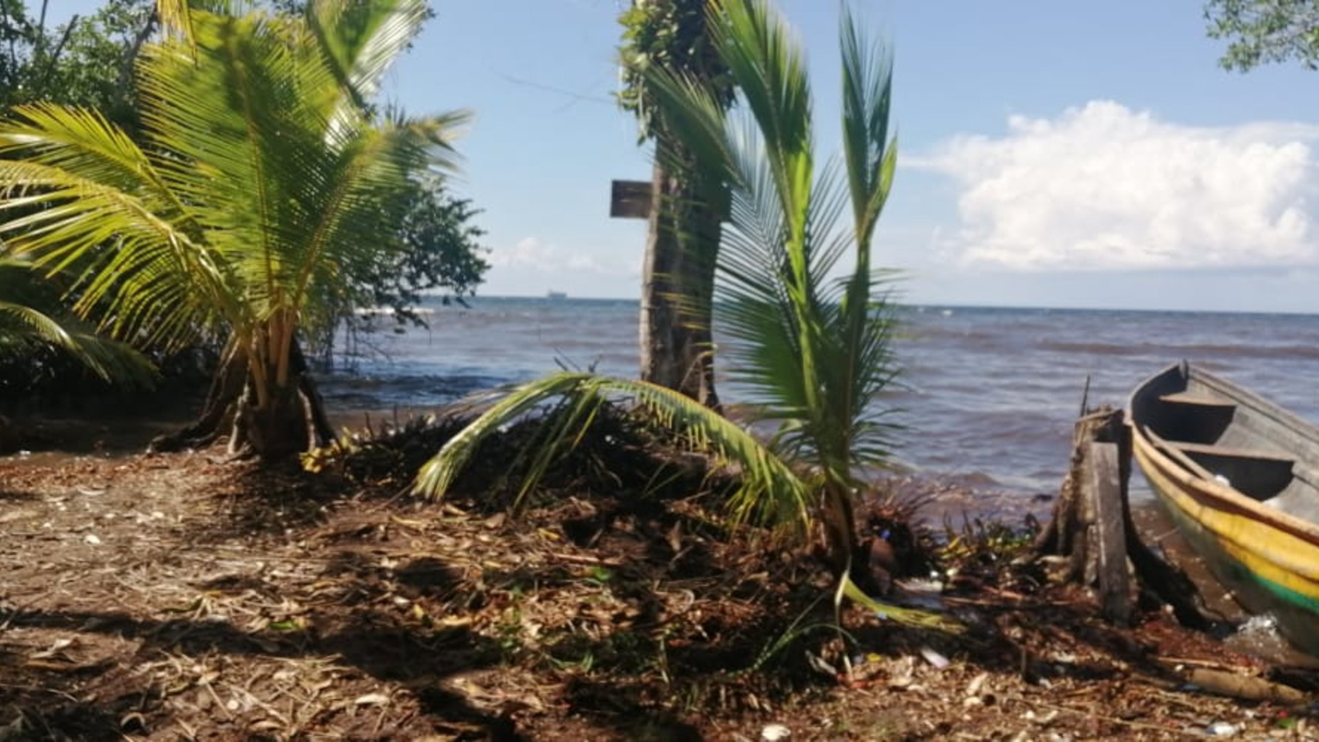TERRENO EN VENTA EN IZABAL
