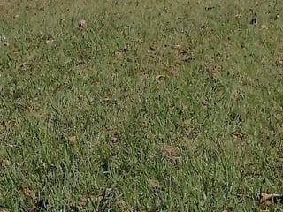 Terreno en Venta Cementerio Jardín Los Olivos, CES - 2